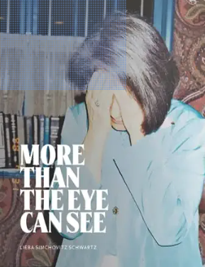 More Than the Eye Can See book cover