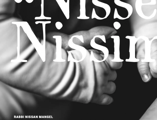 “Nissei Nissim!”